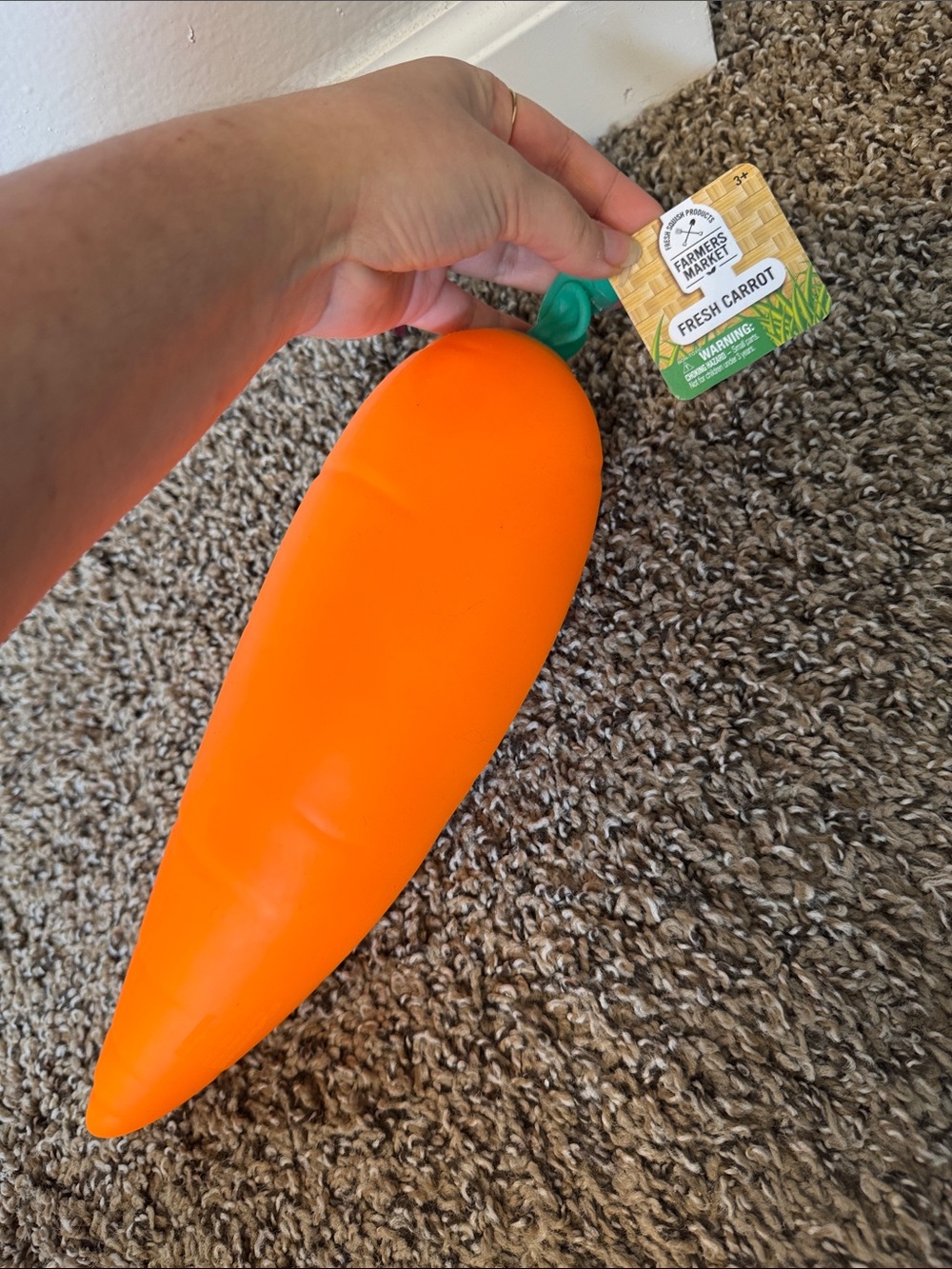 Giant Farmers Market Carrot Squishy Orange